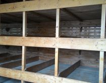 İnsanların 3-4 kişi yattıkları yataklar