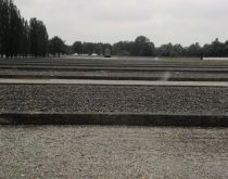 Yıkılmış barakaların temelleri