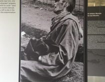 Dachau Kampı